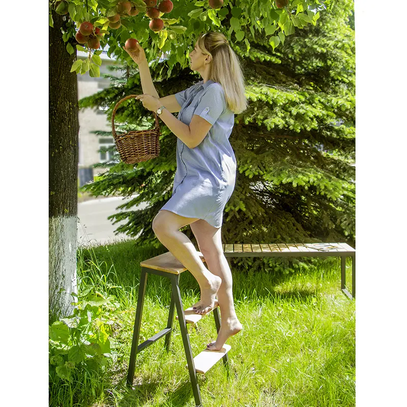 Стремянка малая Лофт бесцветный лак (ARG) - интернет магазин Масса Мебель