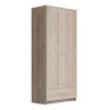 Шкаф двухстворчатый комбинированный Сириус 2 двери и 1 ящик сонома (GL)