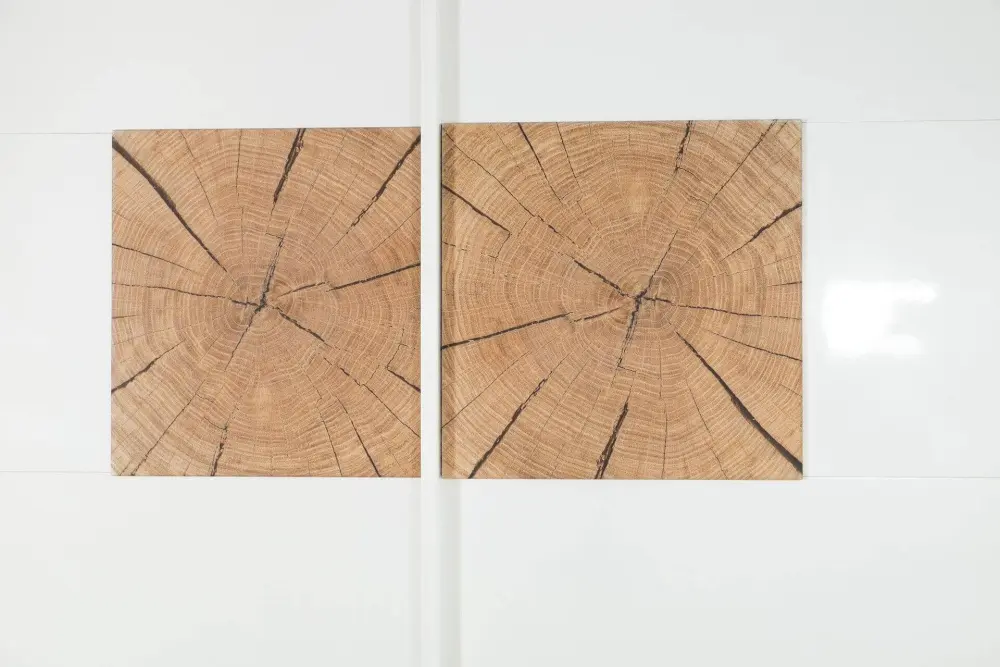 Шкаф одностворчатый с декор. накладками Фиджи (Дуб Золотой/Белый) ЛД | Интернет магазин Масса Мебель