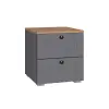 Тумба прикроватная  Остин 16.152 Серый графит/Дуб Золотой (Mob)