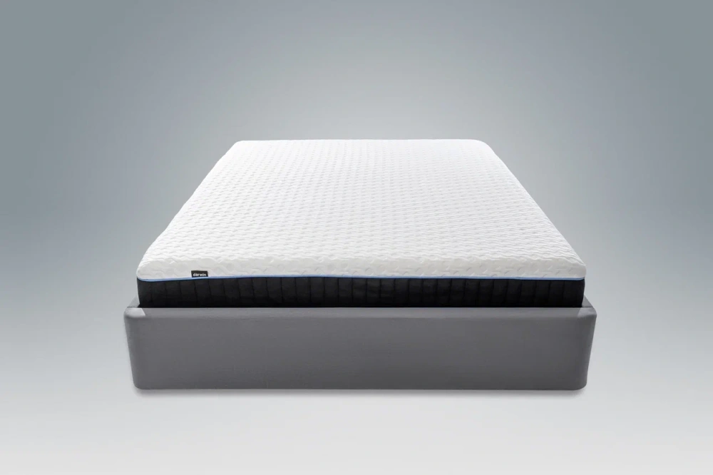 Матрас односпальный анатомический Dreamfit, MASSA купить в Москве - интернет магазин Масса Мебель